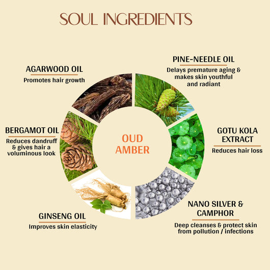 Oud Amber <br> Hair & Body Wash (Pack of 2)