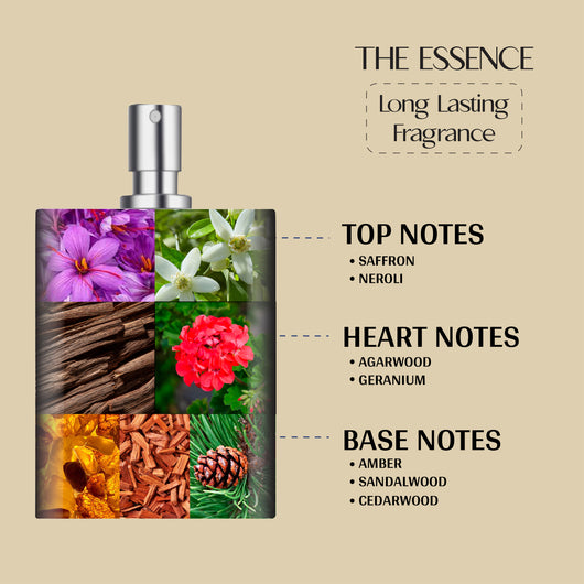 Oud Amber <br> Body Lotion (Pack of 2)