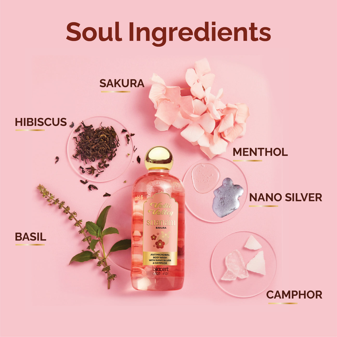 Nourishing Sakura <br> Body Wash (Pack of 3)